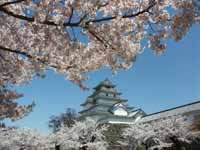 Tsuruga Castle